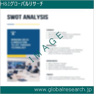 グローバルリサーチ調査レポートのイメージ